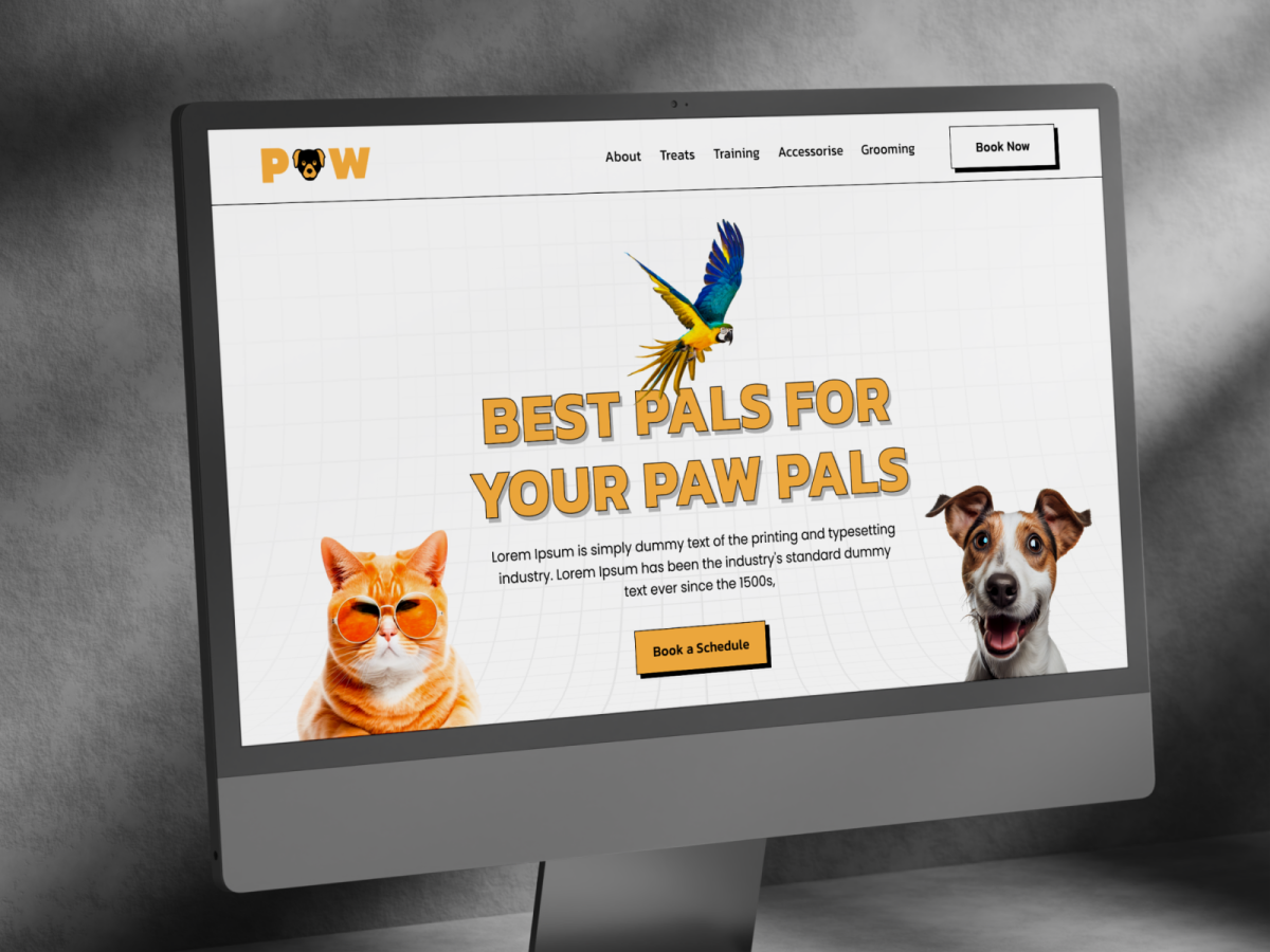 website-design-package-img-one